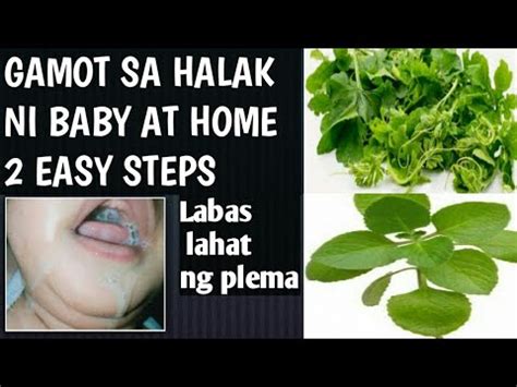 gamot sa halak ng sisiw|Gamot Sa Halak Ng Baby: Ano Ang Sanhi Nito At .